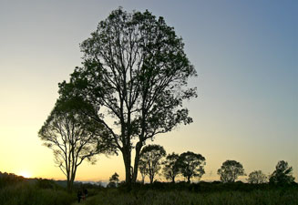 อุทยานแห่งชาติเขาใหญ่ อ.ปากช่อง จ.นครราชสีมา